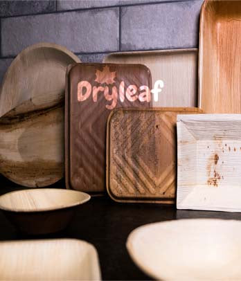 DryLeaf