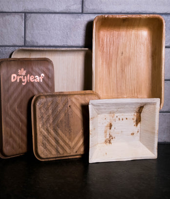 DryLeaf